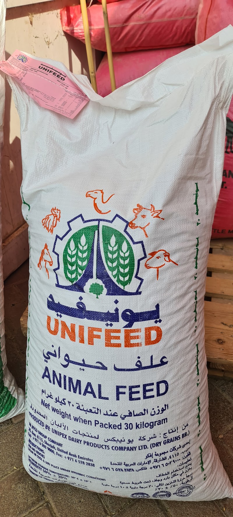 تصویر شماره 2